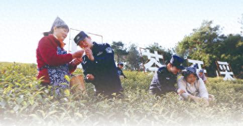 走进“茶叶之乡”，为春耕季护航