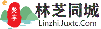 聚享林芝同城